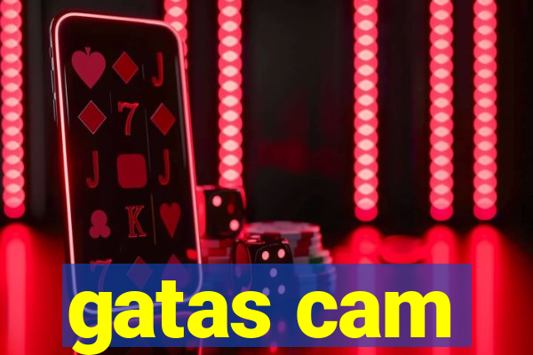 gatas cam